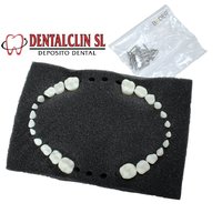 RECAMBIO DIENTES PARA TIPODONTO INFANTIL BADER TIPO NISSIN